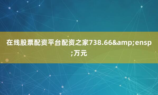 在线股票配资平台配资之家738.66&ensp;万元