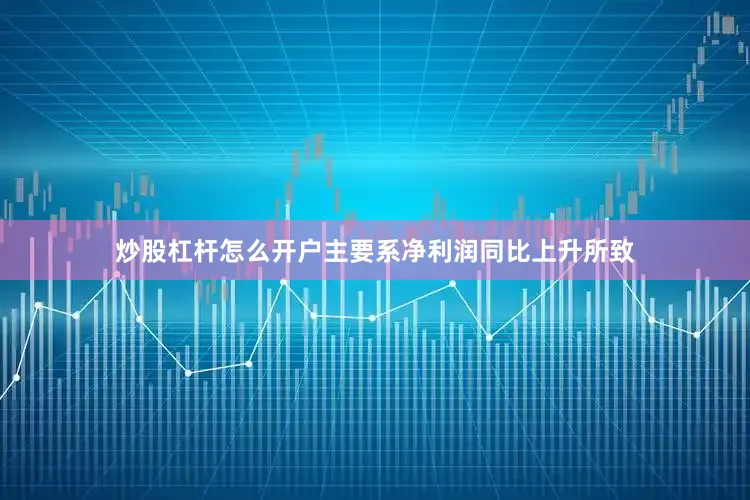 炒股杠杆怎么开户主要系净利润同比上升所致