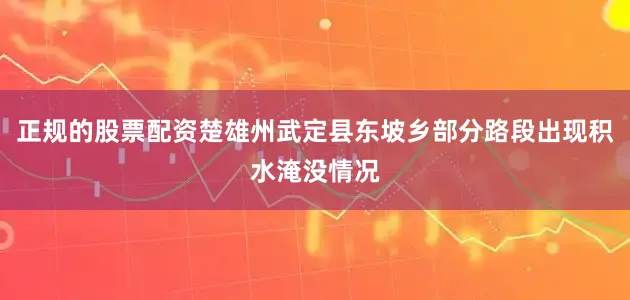 正规的股票配资楚雄州武定县东坡乡部分路段出现积水淹没情况
