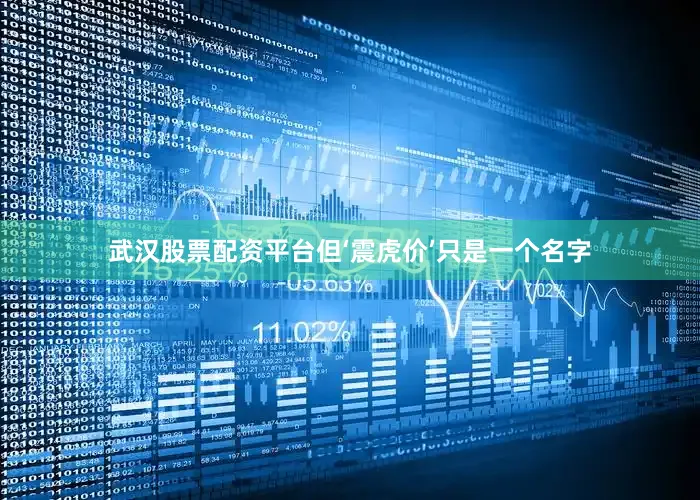 武汉股票配资平台但‘震虎价’只是一个名字